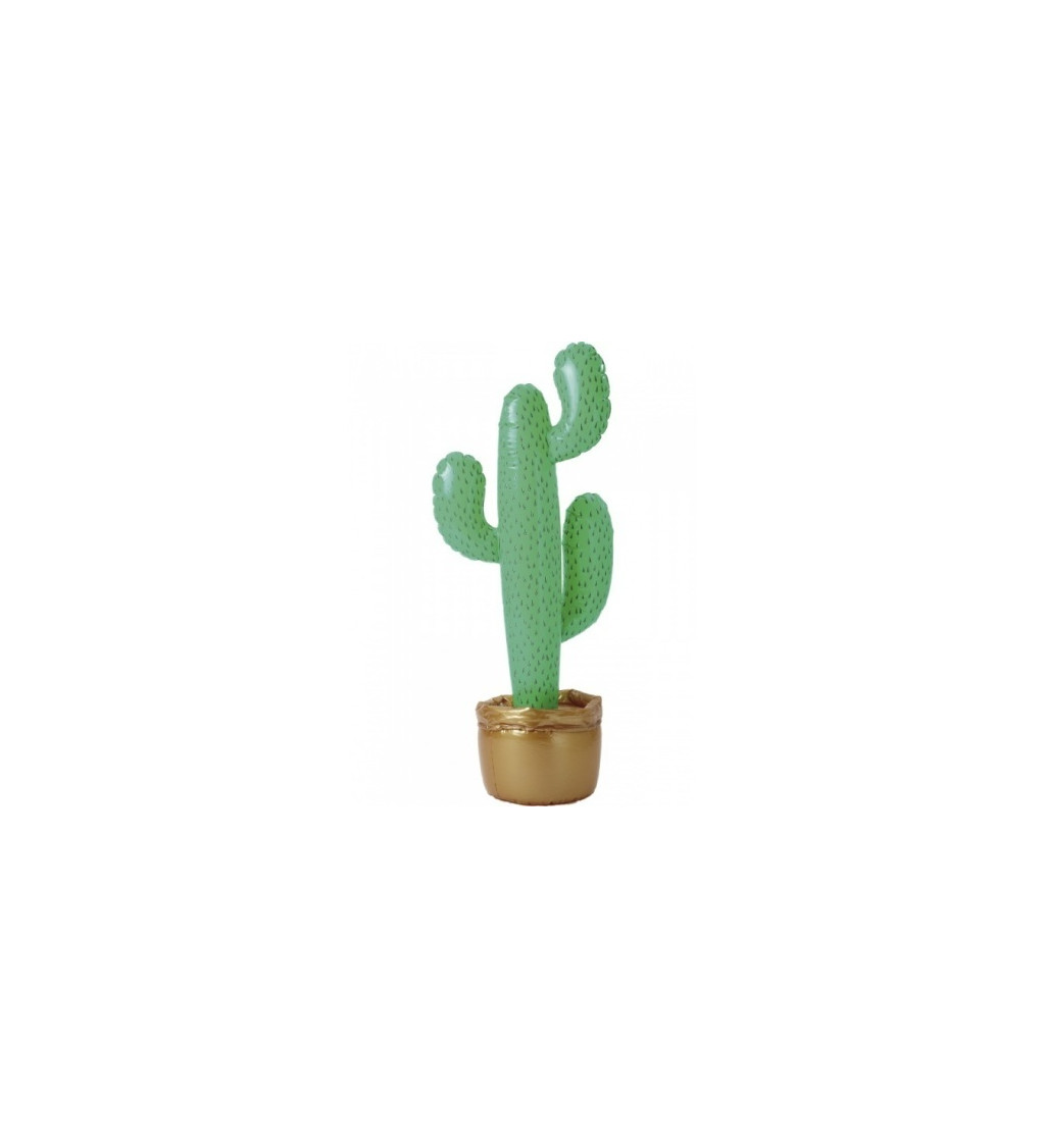 Kaktus k nafouknutí